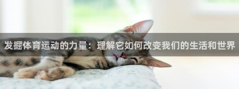 k1体育十年登录入口