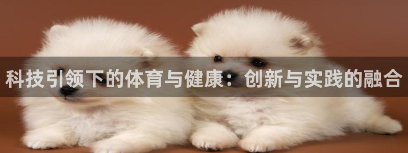 k1体育十年平台