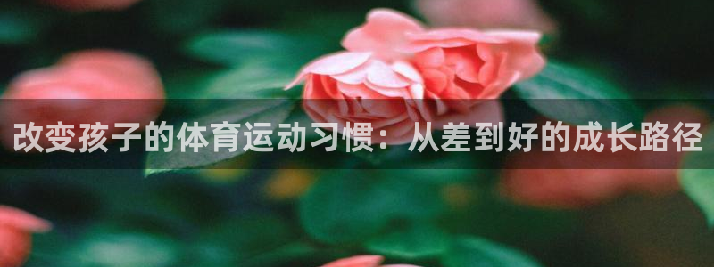 k1体育十年品牌值得信赖网址