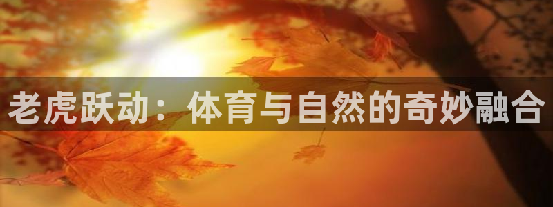 k1体育娱乐