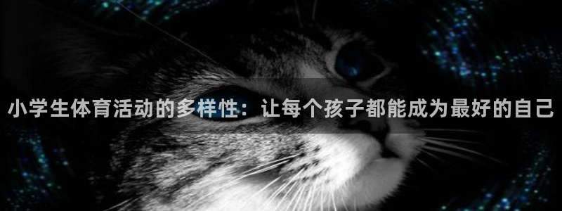 k1体育十年品牌官网