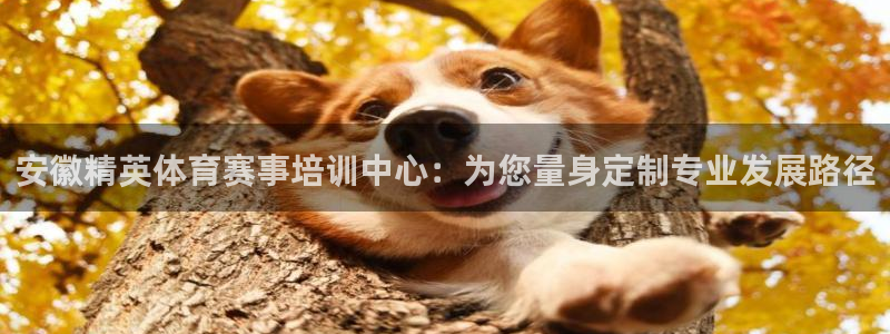 k1体育十年品牌值得信赖网址