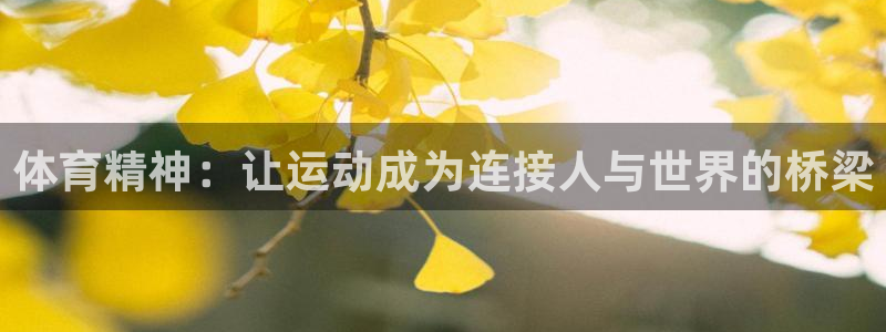 k1体育app下载