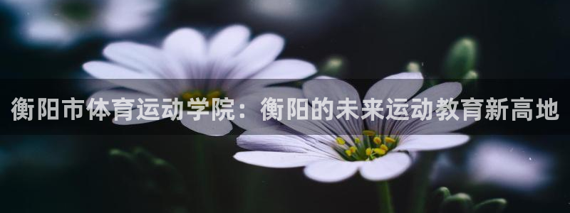 k1体育十年品牌值得信赖网址