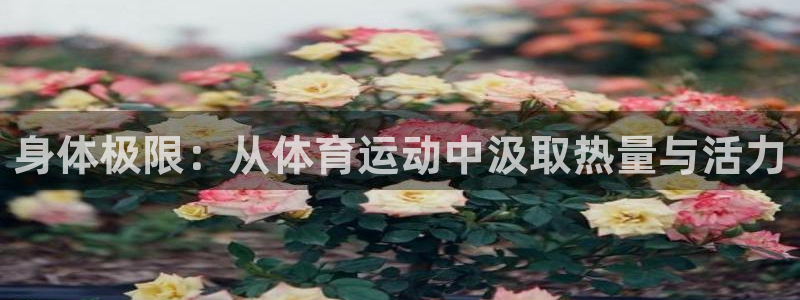 k1体育十年平台