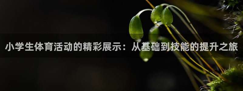 k1体育下载链接