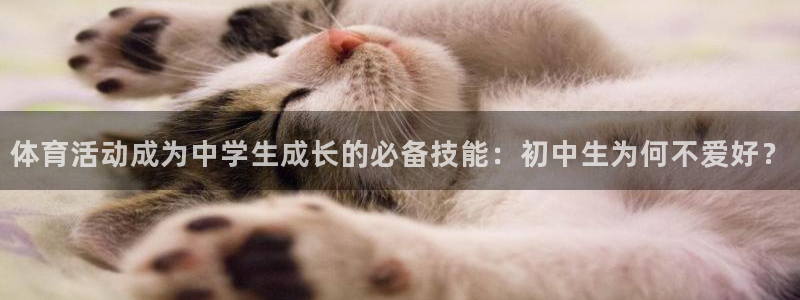 k1体育下载地址